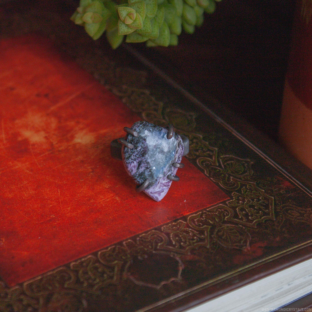 CHAROITE - Anima Mundi Crystals