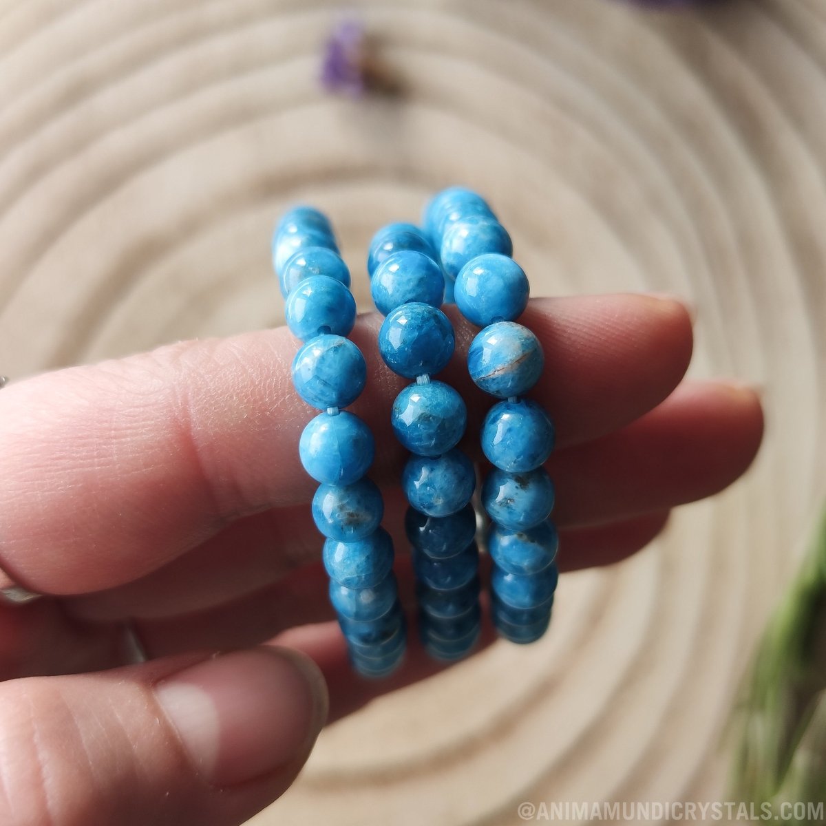 Blue Apatite Bracelet 6mm - Anima Mundi Crystals