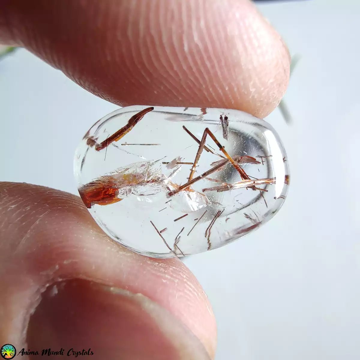 Copper Rutilated Quartz Cabochon with Iron Stain Anima Mundi