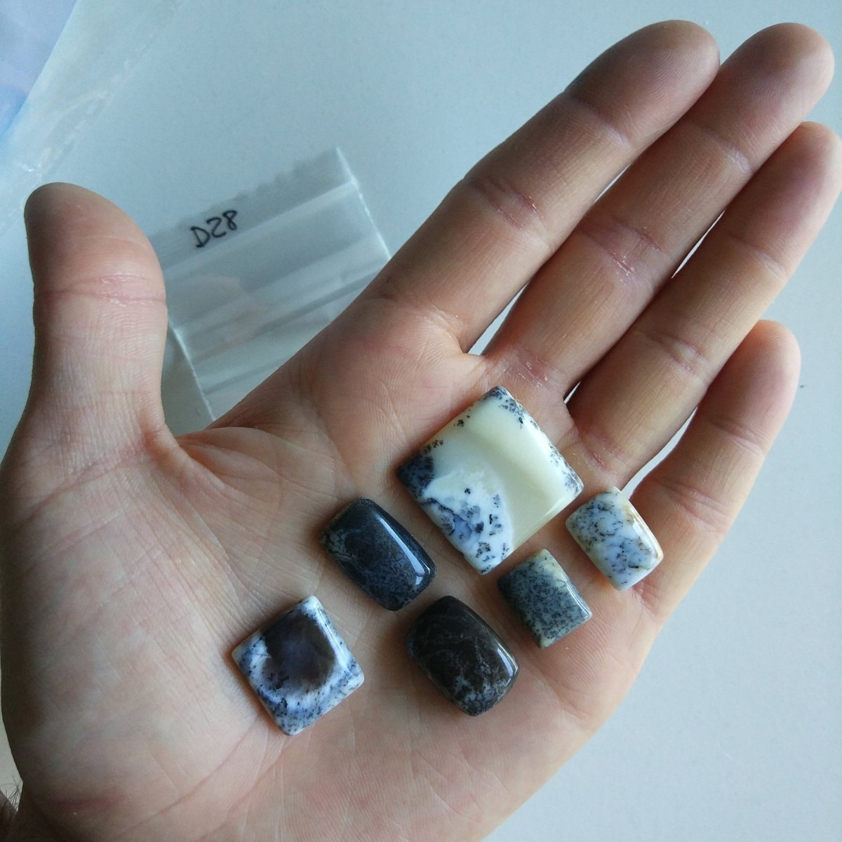 Dendritic Agate Cabochon Lot of 6 - Anima Mundi Crystals