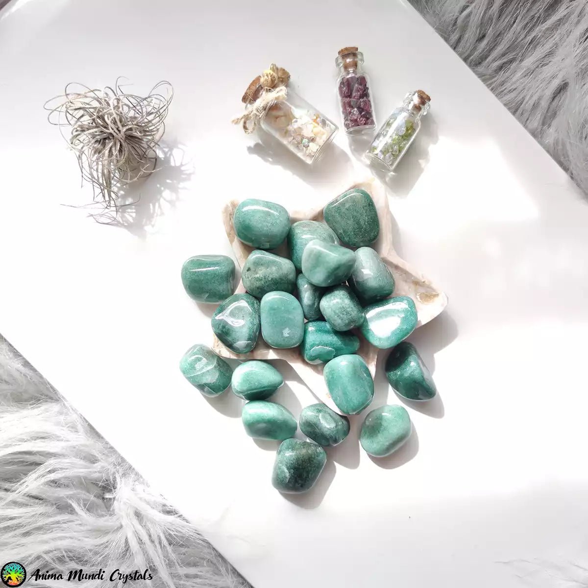 Green Quartzite- Aventurine Tumblestones - Anima Mundi Crystals