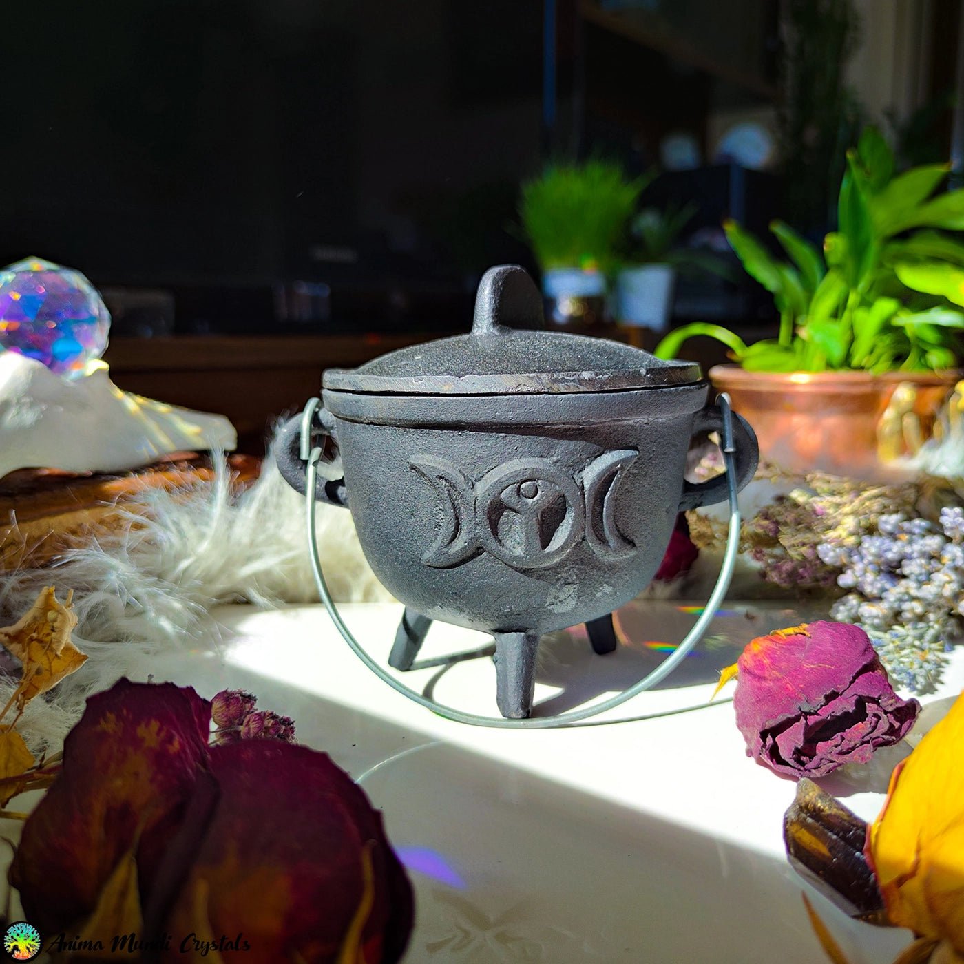 Triple Moon Goddess Cast Iron Cauldron | Witchcraft Altar Tool for Spells, Incense, and Rituals - Anima Mundi Crystals