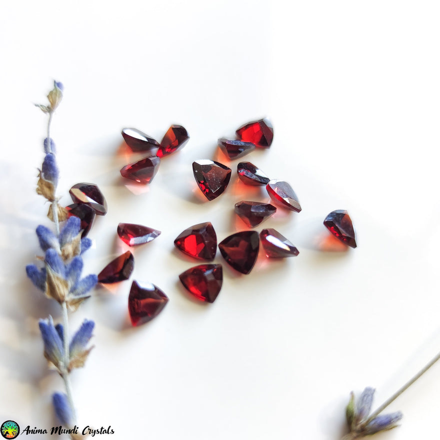 Almandine Garnet, Energize your Chakras - Anima Mundi Crystals