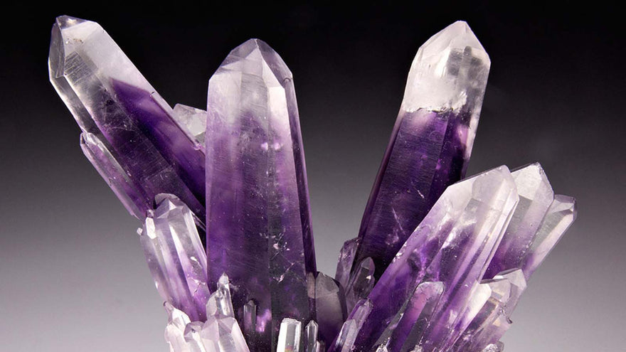 Amethyst | The Sobriety Stone - Anima Mundi Crystals