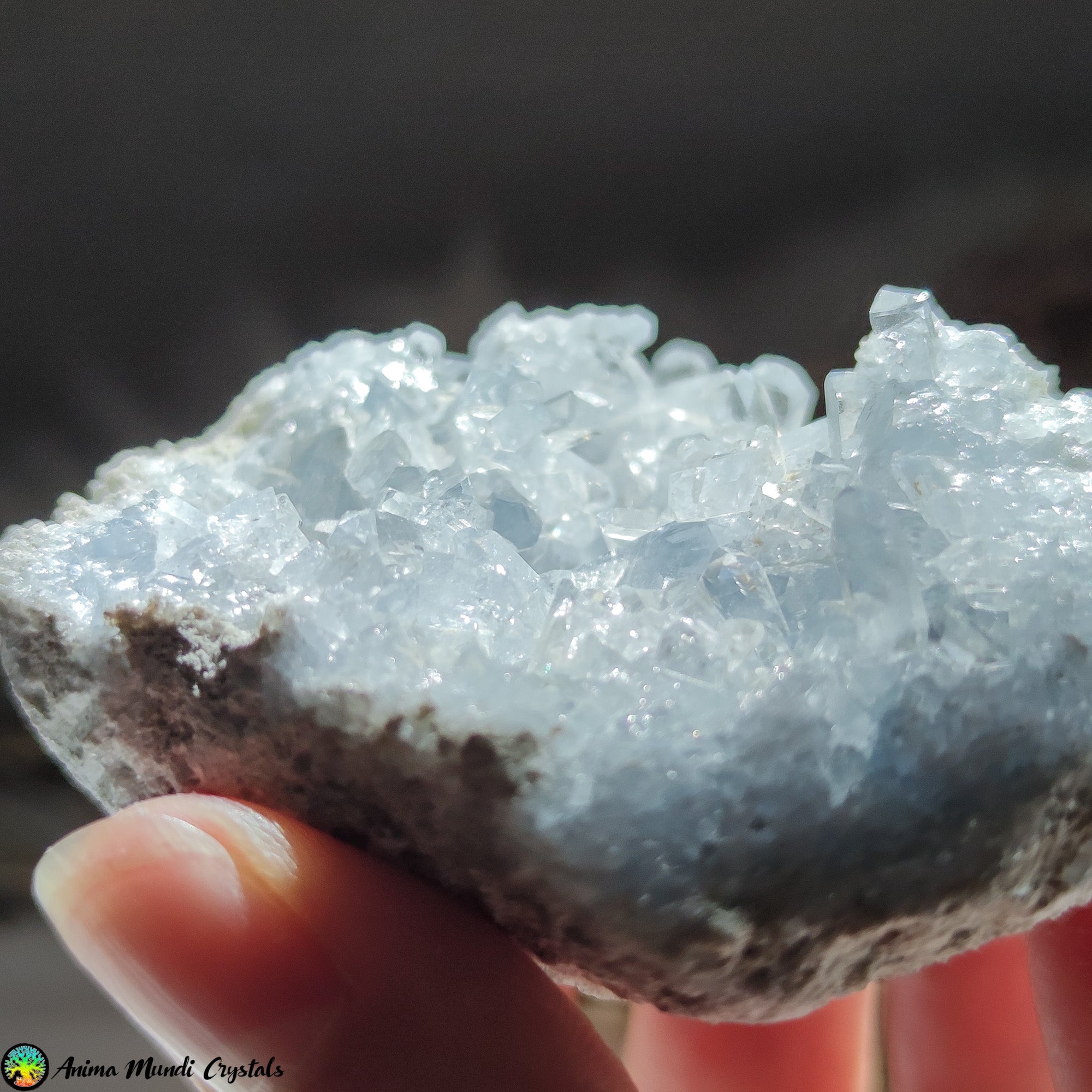 Coelestin, Kristall zur Meditation – Anima Mundi Crystals