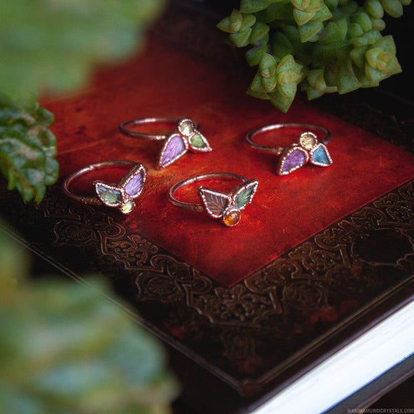 TOURMALINE - Anima Mundi Crystals