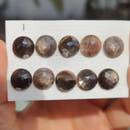 Faceted Black Sunstone Round Cabochons 10mm-6