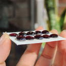 10mm Rhodolite Garnet Round Cabochons in Rose Cut-4