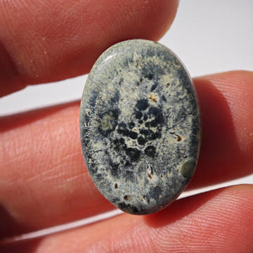 Eldarite (Jaspe Kambaba) · Cabujón Oval - 0