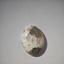 Jaspe Oceánico · Cabujón Oval 15×11 mm-4