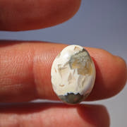 Default Title Ocean Jasper · Oval Cabochon 15×11 mm