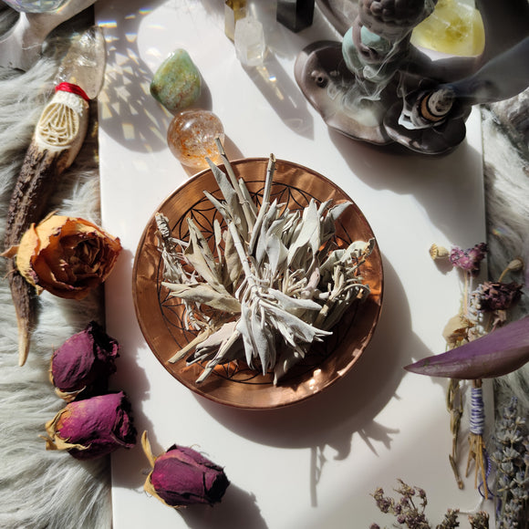 Hojas de Salvia Blanca 20g