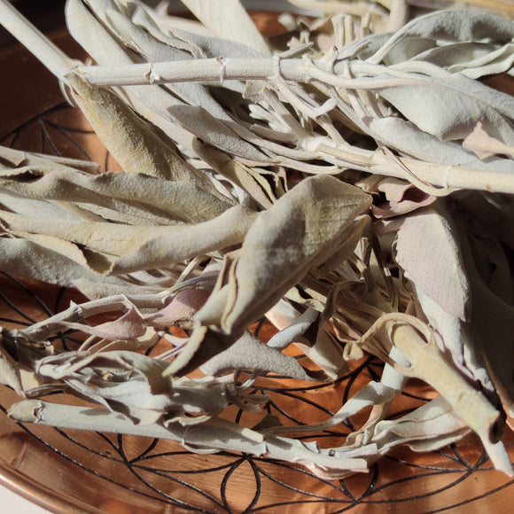 Hojas de Salvia Blanca 20g