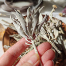 Hojas de Salvia Blanca 20g-3