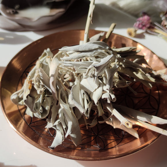 Hojas de Salvia Blanca 20g