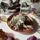 Hojas de Salvia Blanca 20g-5