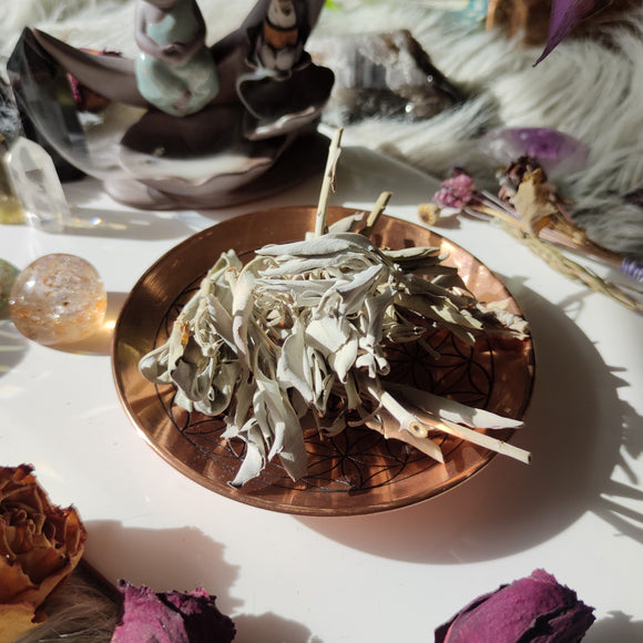 Hojas de Salvia Blanca 20g