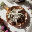 Hojas de Salvia Blanca 20g-6