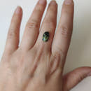 Serpentine Cabochons-3