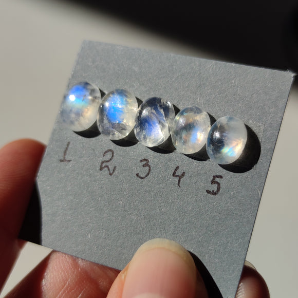 Cabujones Ovalados de Piedra Luna 10mm