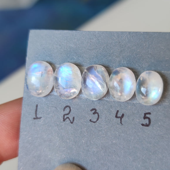 Cabujones Ovalados de Piedra Luna 10mm