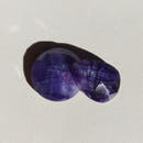 Blue Sillimanite Cabochons in Rose Cut-1