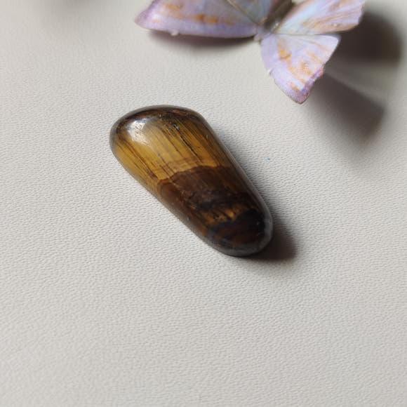 Freeform Tiger's Eye Cabochon