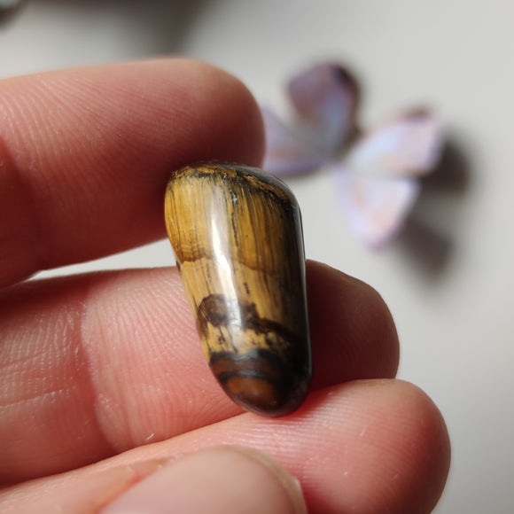 Cabujón de Ojo de Tigre en Forma Libre