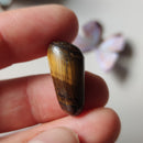 Cabujón de Ojo de Tigre en Forma Libre-3