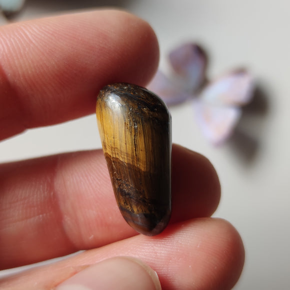Cabujón de Ojo de Tigre en Forma Libre