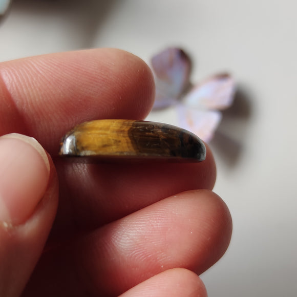 Cabujón de Ojo de Tigre en Forma Libre
