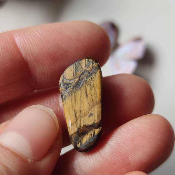 Freeform Tiger's Eye Cabochon