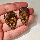 Bronzite Teardrop Cabochons-4