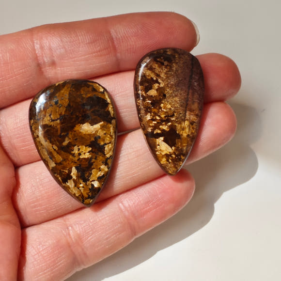 Bronzite Teardrop Cabochons