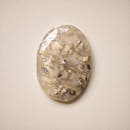 Dendritic Agate Tiger Oval Cabochon-1