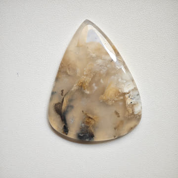 Dendritic Agate Tiger Teardrop Cabochon