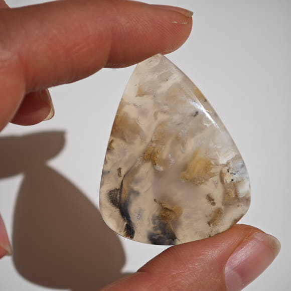 Dendritic Agate Tiger Teardrop Cabochon
