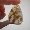 Dendritic Agate Tiger Teardrop Cabochon-4