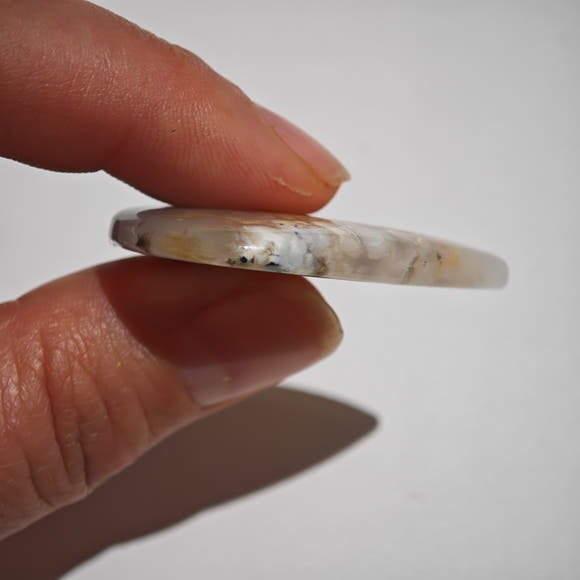 Dendritic Agate Tiger Teardrop Cabochon