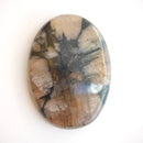 Quiastolita Cabujon Ovalado-5