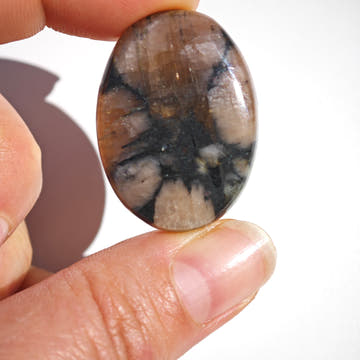 Chiastolite Oval Cabochon - 0