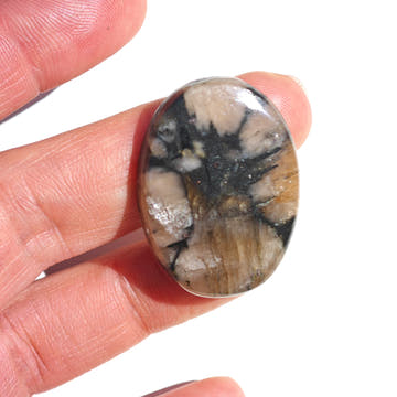 Chiastolite Oval Cabochon