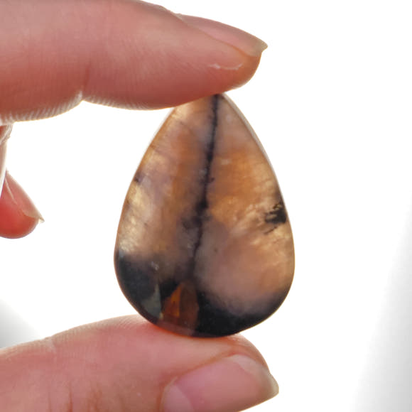 Chiastolite Cabochon Teardrop Rectangular