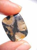 Chiastolite Cabochon Teardrop Rectangular-11