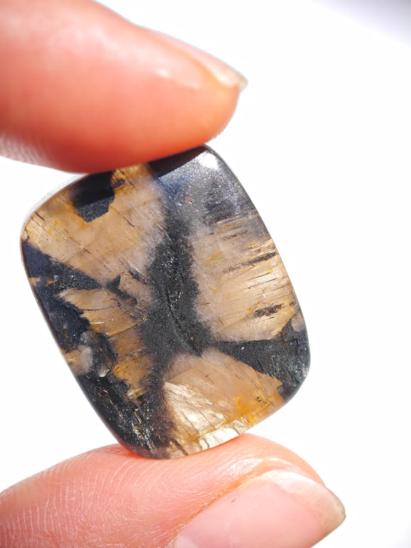 Chiastolite Cabochon Teardrop Rectangular