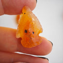 Punas de Flecha de Cornalina-5