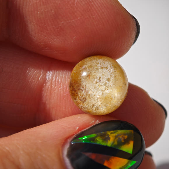 Lodolite Round Cabochons 10-12mm