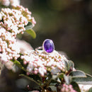 Anillo en Plata con Amatista-1