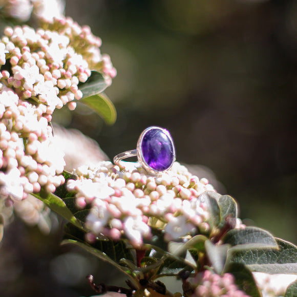 Anillo en Plata con Amatista