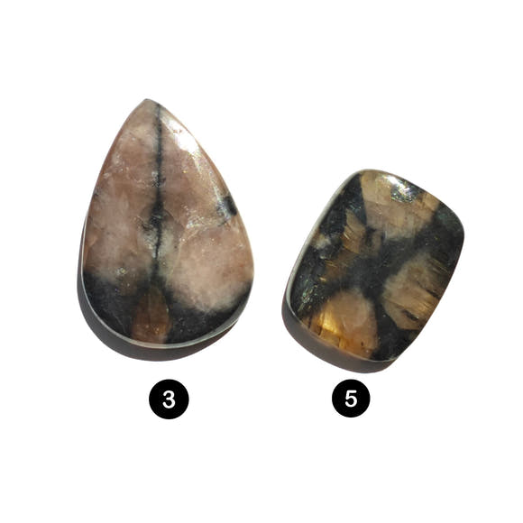 Chiastolite Cabochon Teardrop Rectangular